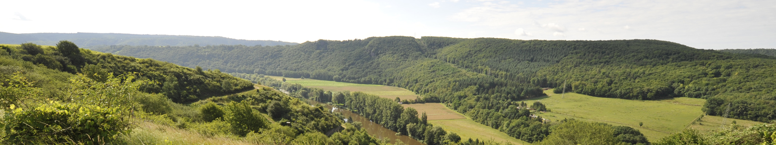 Landschaft mit Fluss © Dienstleistungszentren Ländlicher Raum